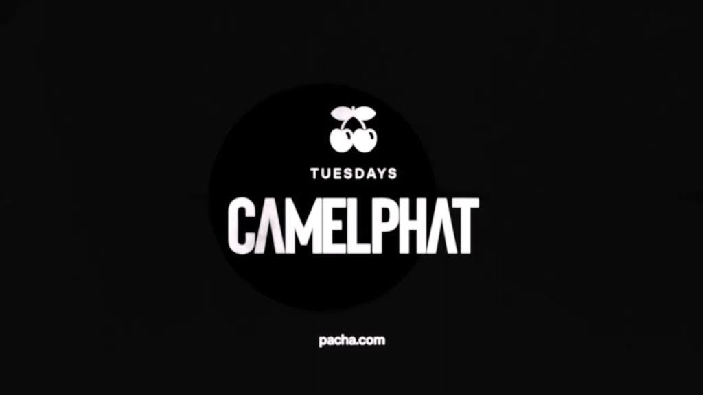 Camelphat Pacha 2023