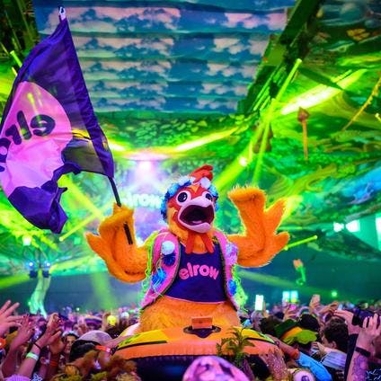 10 Things We Love About elrow