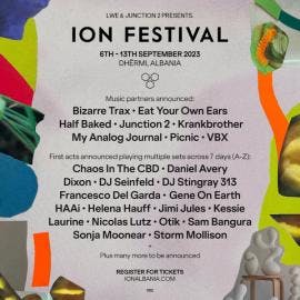ION Festival 2023 event artwork
