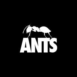 ANTS event artwork