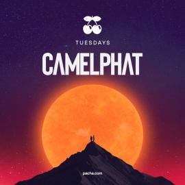 Camelphat Opening at Pacha Ibiza event artwork